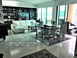 The Berth By The Cove (D4), Condominium #141421792